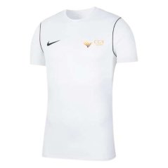 Triko Nike M NK DRY PARK20 TOP SS - CGY